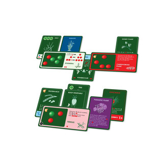 Эволюция. Растения (дополнение) 3