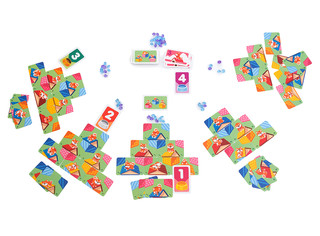 Настольная игра Пёс на крыше 4