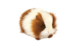 Мягкая игрушка Морская свинка, 20 см, Hansa, бело-коричневая 2