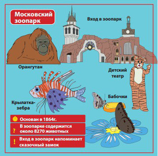 BrainBox Обучающая игра Сундучок знаний Москва 6