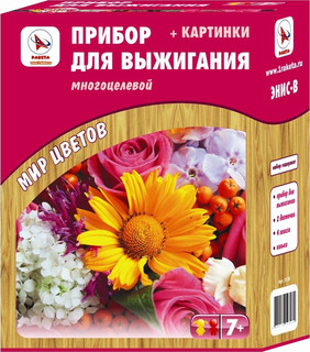 Ракета Набор для выжигания с аппаратом 'Цветы'