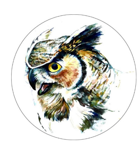 Набор для вышивания VC09 'Филин' 21 х 21 см