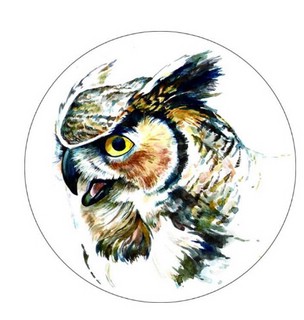 Набор для вышивания VC09 'Филин' 21 х 21 см