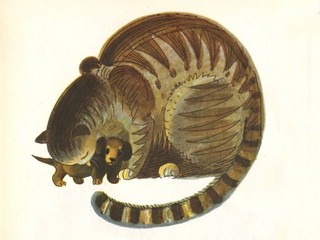 Веселое лето. Стихи 5