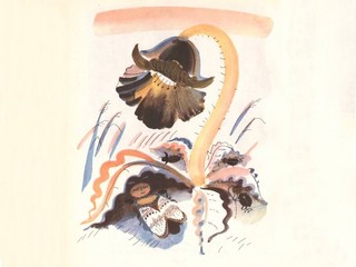 Веселое лето. Стихи 6