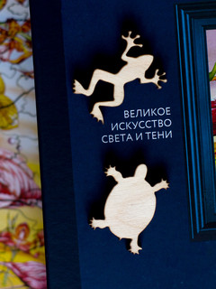 Пазл DaVICI 'Великое искусство света и тени', 160 деталей 3