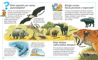 Где, что и когда? 4