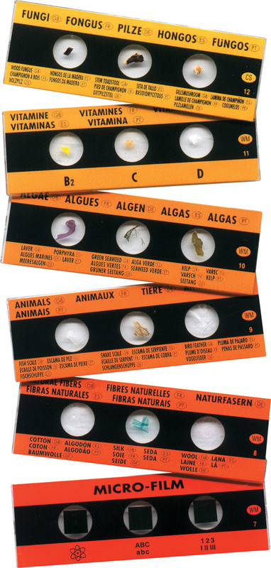 Edu-Toys Набор слайдов для микроскопа