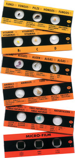 Edu-Toys Набор слайдов для микроскопа