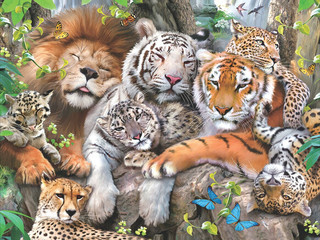 3D Пазл Prime3D 'Кошачий сон', 10001 2