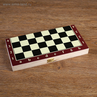 Шахматы 'Тонт', 24 х 24 см 4