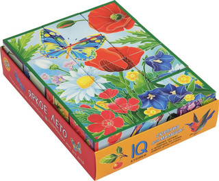 IQ кубики. Яркое лето 1