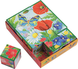 IQ кубики. Яркое лето 2