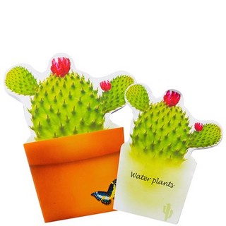 Бумага для заметок Bloomnotes Cactus 2