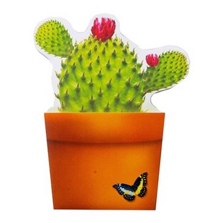 Бумага для заметок Bloomnotes Cactus 4