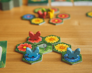 Настольная игра Экономикус Клумба 3