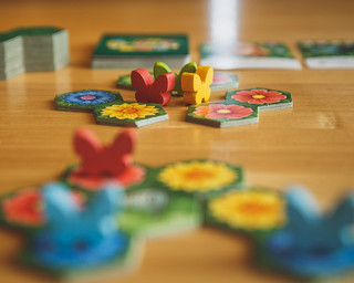 Настольная игра Экономикус Клумба 4