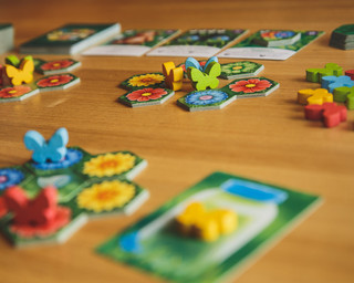 Настольная игра Экономикус Клумба 5