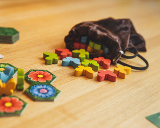 Настольная игра Экономикус Клумба 6