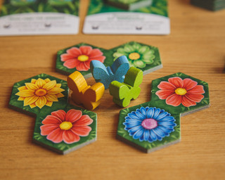 Настольная игра Экономикус Клумба 7