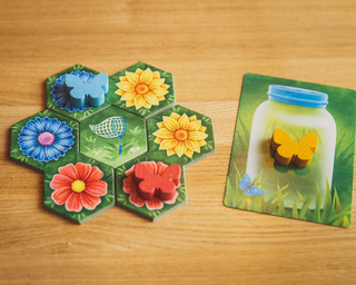 Настольная игра Экономикус Клумба 9