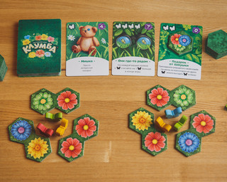 Настольная игра Экономикус Клумба 10