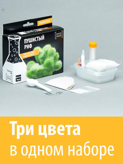 Набор 'Пушистый риф' для опытов, Простая наука 3