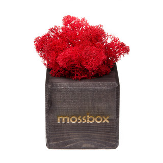 Композиция для декора 'Мох в интерьере 'MossBox black red cube' 2