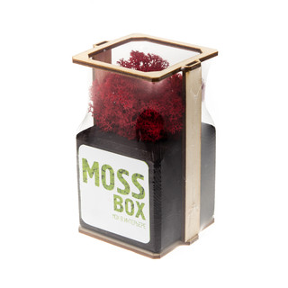 Композиция для декора 'Мох в интерьере 'MossBox black red cube' 3