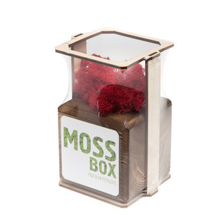 Композиция для декора 'Мох в интерьере 'Mossbox fire red cube' 3