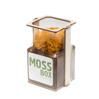Композиция для декора 'Мох в интерьере 'Mossbox fire yellow cube' 2