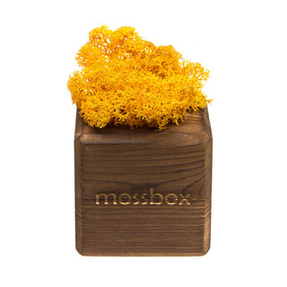 Композиция для декора 'Мох в интерьере 'Mossbox fire yellow cube' 3