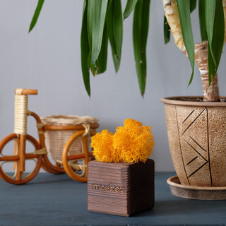 Композиция для декора 'Мох в интерьере 'Mossbox fire yellow cube' 4