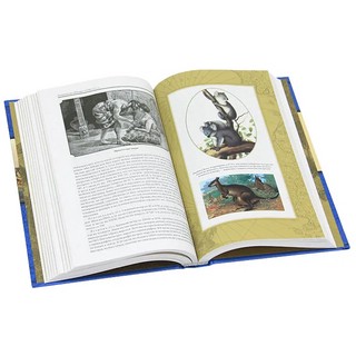 Первое кругосветное плавание 5