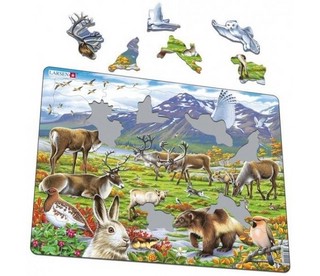 Пазл Larsen Арктика 2