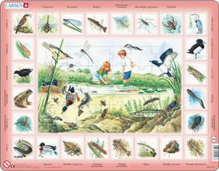 Пазл Larsen 'Пруд'