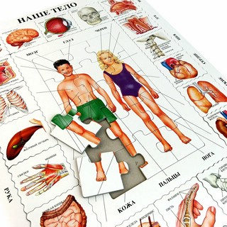 Пазлы для детей Larsen 'Наше тело' 35 элементов, в ассортименте (рус/англ) 2