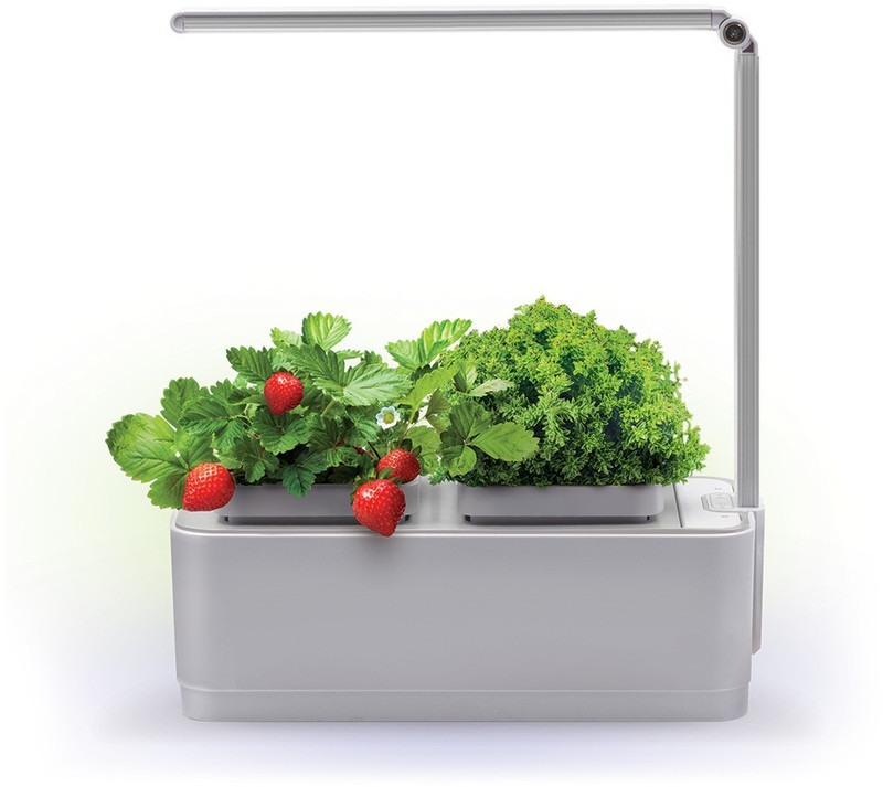 Набор для опытов 'Компактный умный сад. iGarden LED'