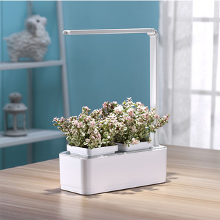 Набор для опытов 'Компактный умный сад. iGarden LED' 2