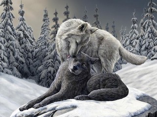 Пазл 3D 'Волки' 500 деталей, Super Prime 3D арт.10346 2