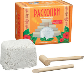 Набор для проведения раскопок с монетами 'Племена Майя' 7