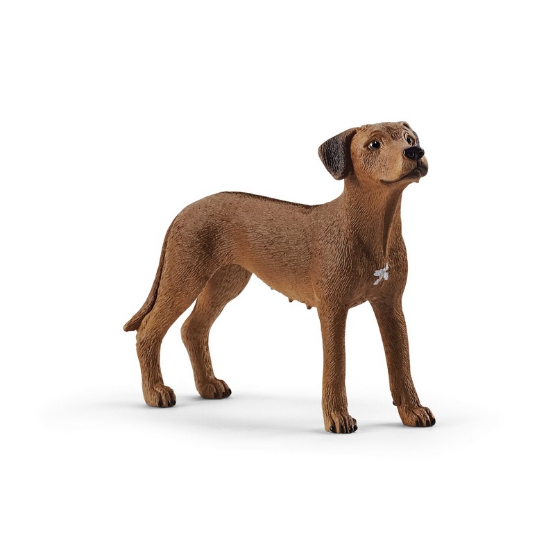 Schleich Фигурка Родезийский риджбек 13895