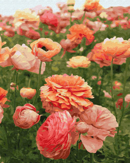 Картина по номерам "Нежный цветок" 40 х 50 см