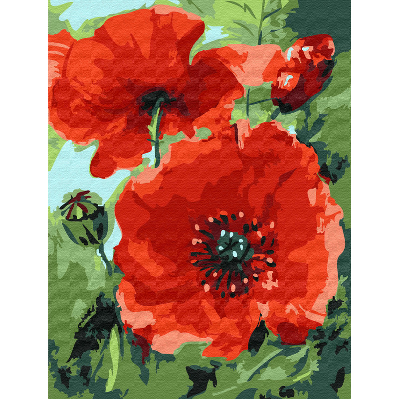 Molly Картина по номерам 'Маки', 15x20 см