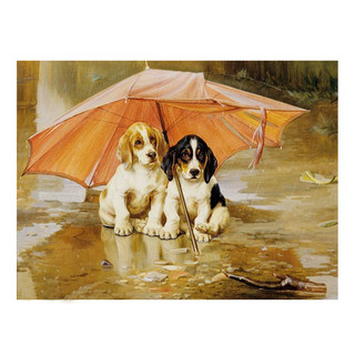 Картина по номерам 'Непогода', 40х50 см