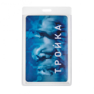 Чехол для магнитной карты 'Радужная кошечка', артикул  2