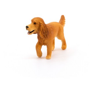 Английский кокер спаниель 2