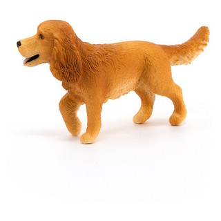 Английский кокер спаниель 3