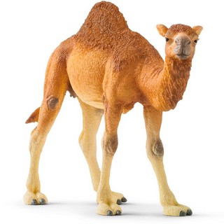 Schleich фигурка Одногорбый верблюд 2