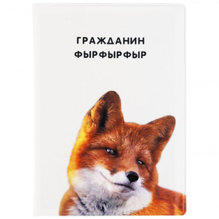 Обложка на автодокументы 'Гражданин фырфыр', артикул KW063-000096 1